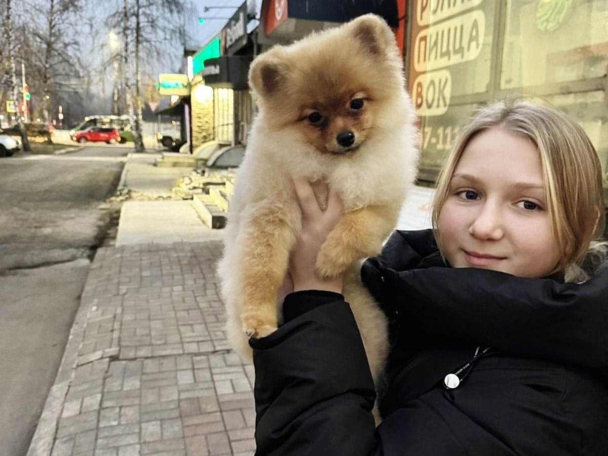 Международный день собак.