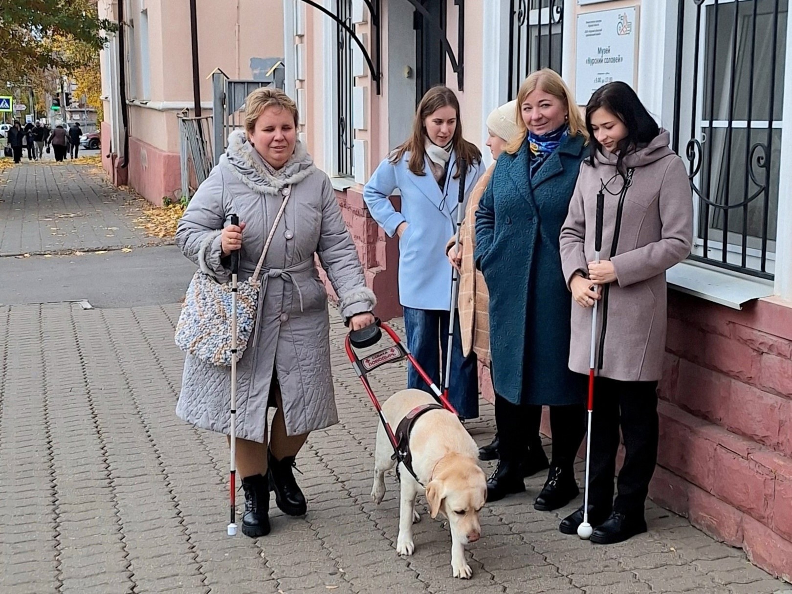 Курсы повышения квалификации для специалистов, работающих с людьми с нарушениями зрения.