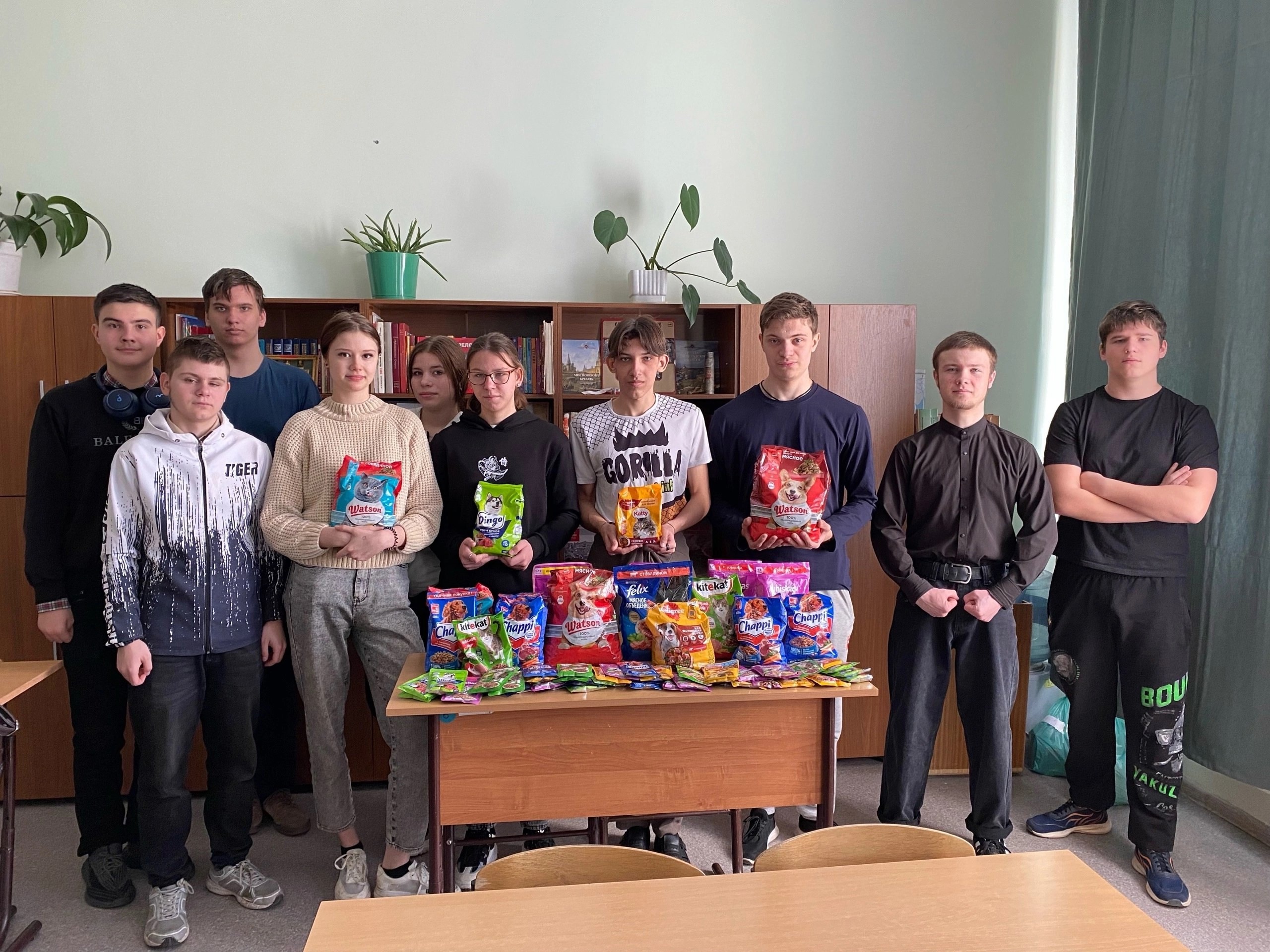 Помощь бездомным животным.